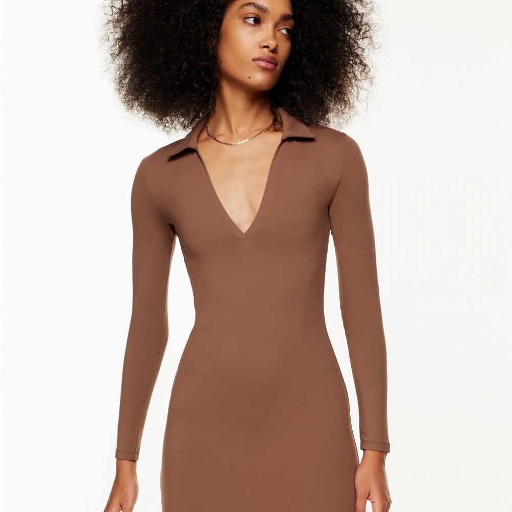 Aritzia Contour Polo Longsleeve Dress